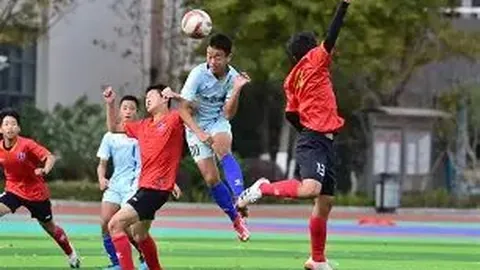 张之臻鹿特丹赛首轮不敌卢布列夫