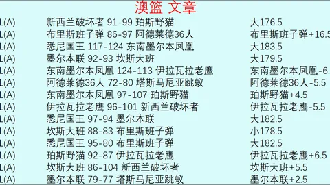 17岁新星魏祥鑫身价激增至40万欧，欧塞尔足坛迎来耀眼新援！